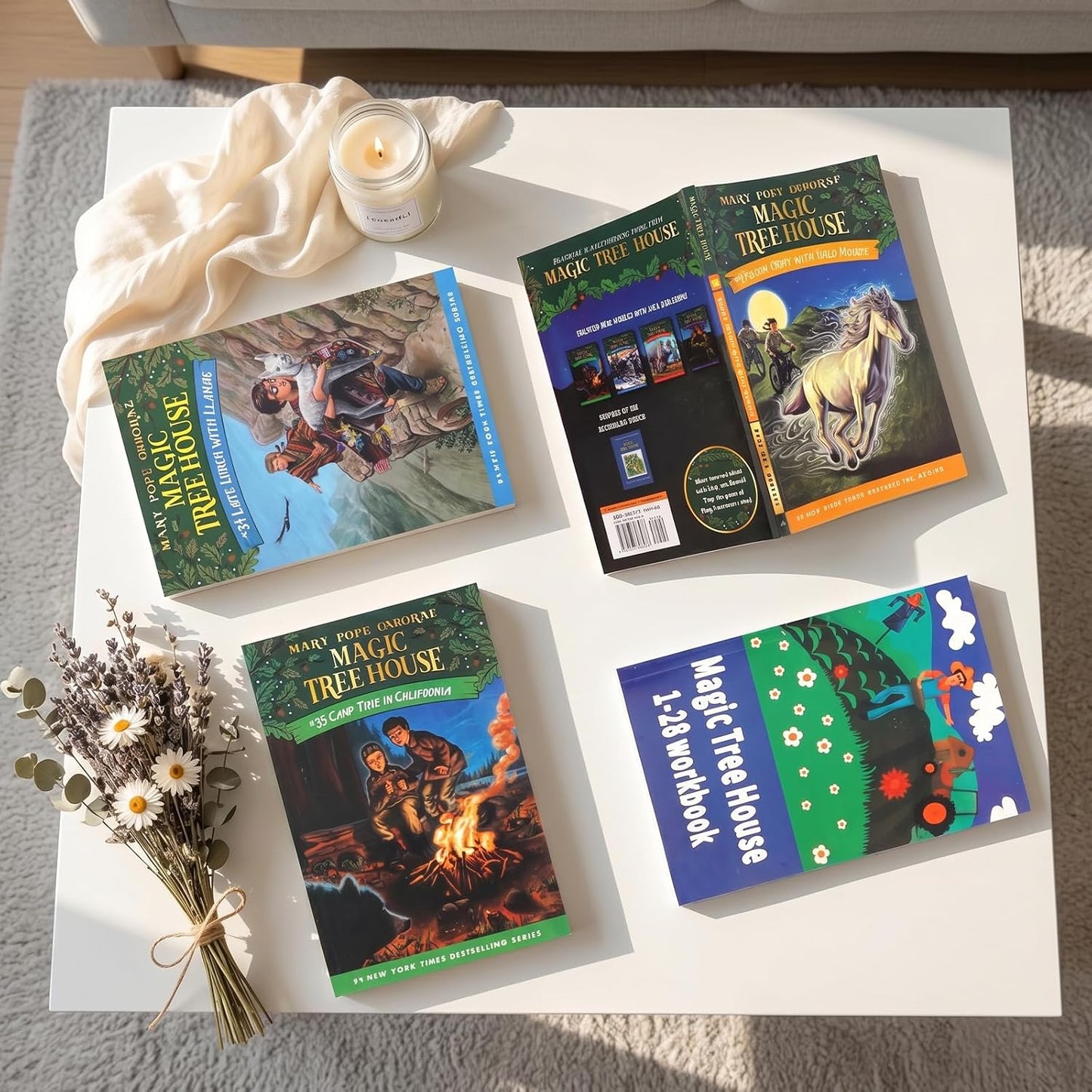 A Library of Tree House 1-39 Collection Reading Toy Paperback